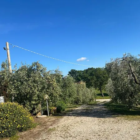 Séjour à la ferme La Castellina *